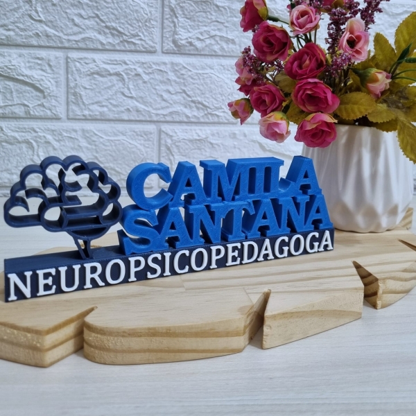 Placa Profissional Neuropsicopedagoga