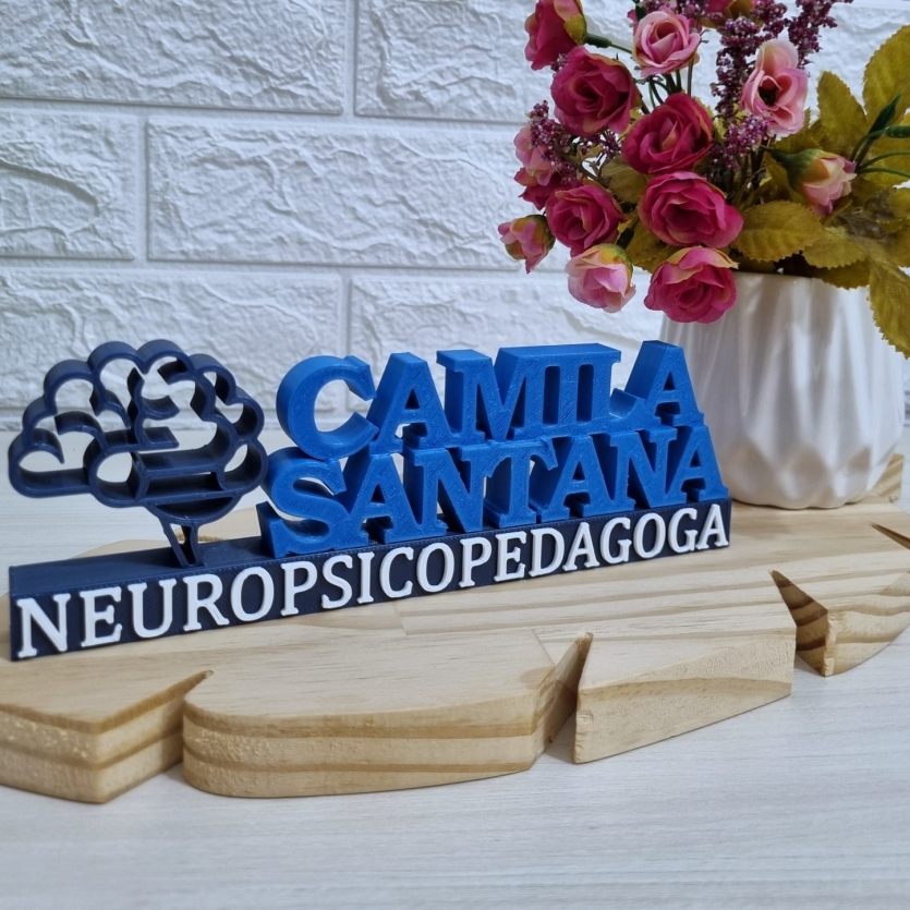 Placa Profissional Neuropsicopedagoga