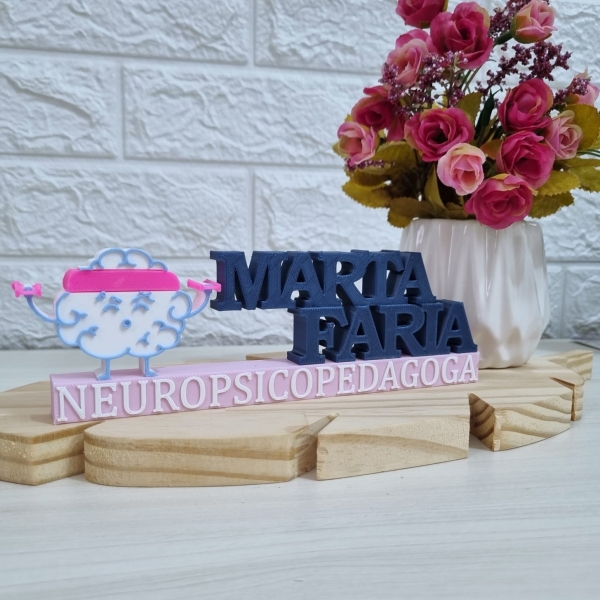 Placa Profissional Neuropsicopedagoga - Imagem 2