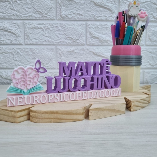Placa Profissional Neuropsicopedagoga - Imagem 3