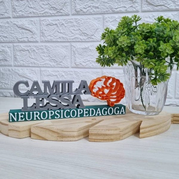 Placa Profissional Neuropsicopedagoga - Imagem 4