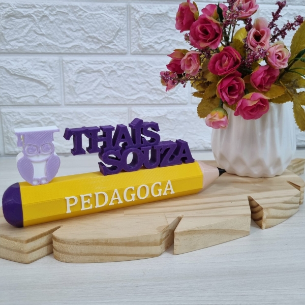 Placa Profissional Pedagoga - Imagem 3