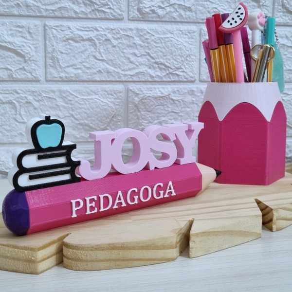 Placa Profissional Pedagoga