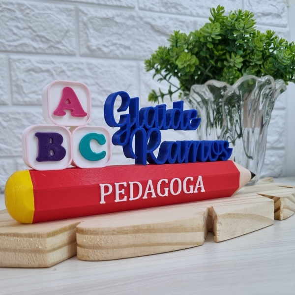 Placa Profissional Pedagoga - Imagem 2