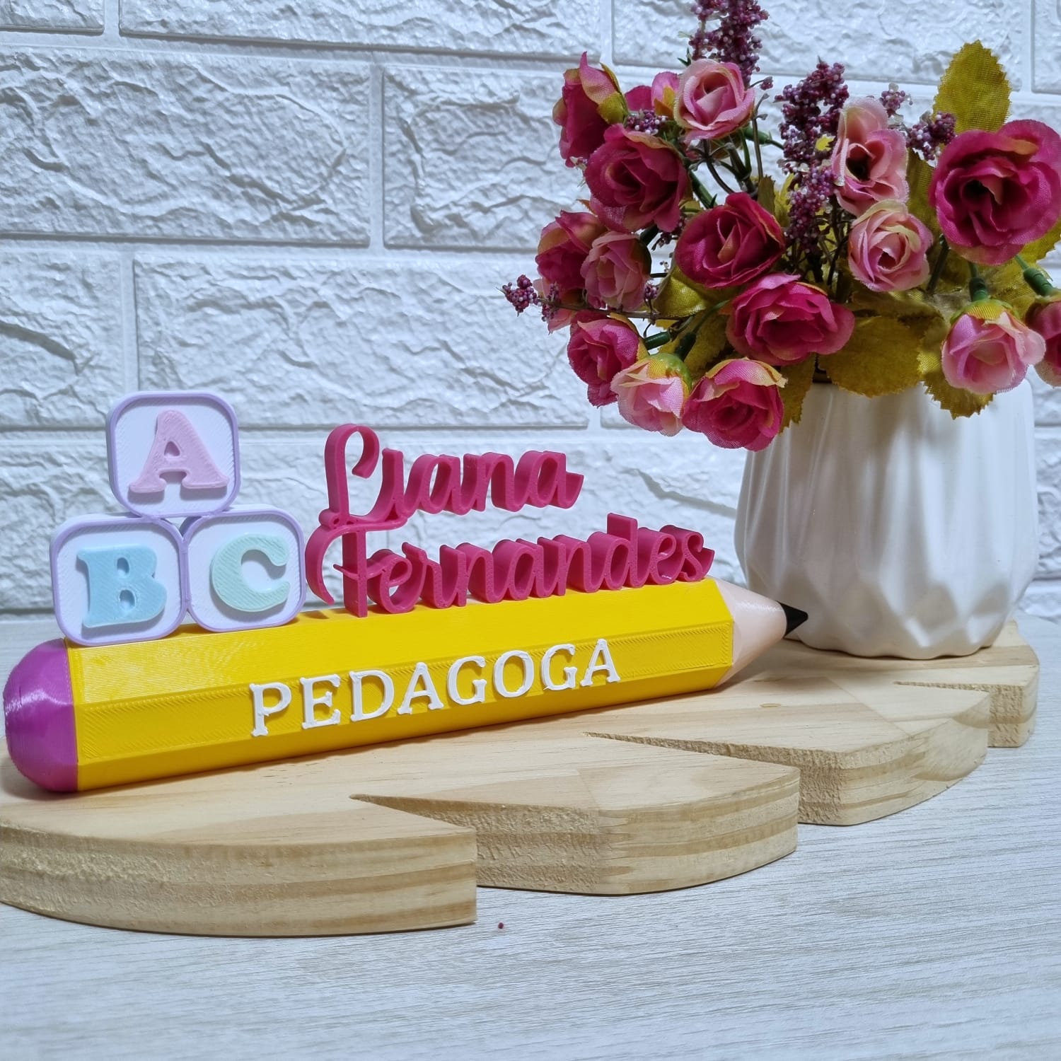 Placa Profissional Pedagoga - Imagem 5