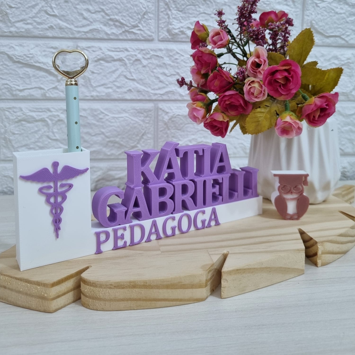 Placa Profissional Pedagoga - Imagem 6