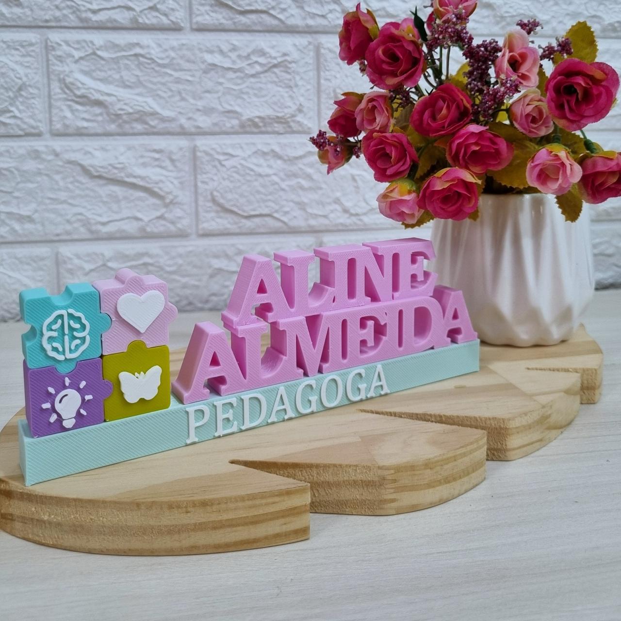 Placa Profissional Pedagoga - Imagem 7