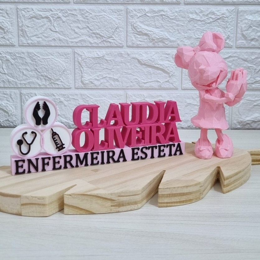Placa Profissional Enfermagem - Enfermeiro/Enfermeira