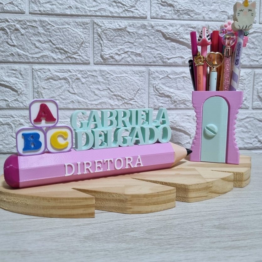 Placa Profissional Diretora (Diretor) Escolar